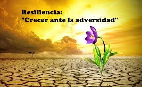15 PELÍCULAS PARA ABORDAR LA RESILIENCIA