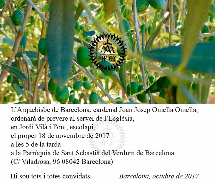 18 noviembre, ORDENACIÓN DE JORDI VILÀ I FONT