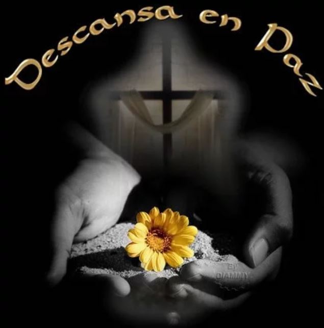 DESPEDIMOS AL P. CARMINE DANISE