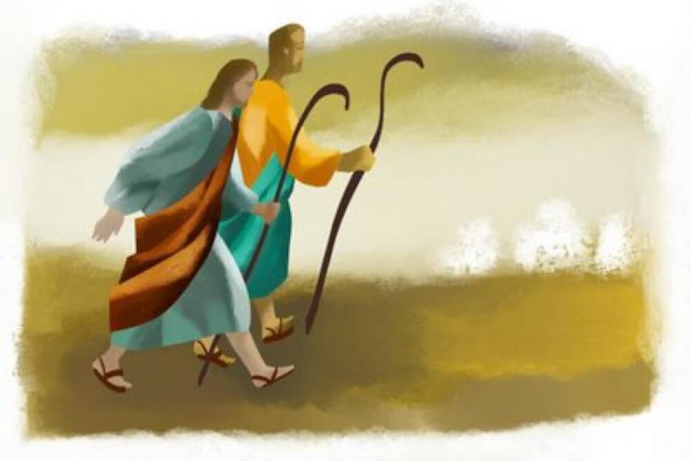 PASTORAL ESCOLAPIA: DEFINIR, FORMAR, DESARROLLAR