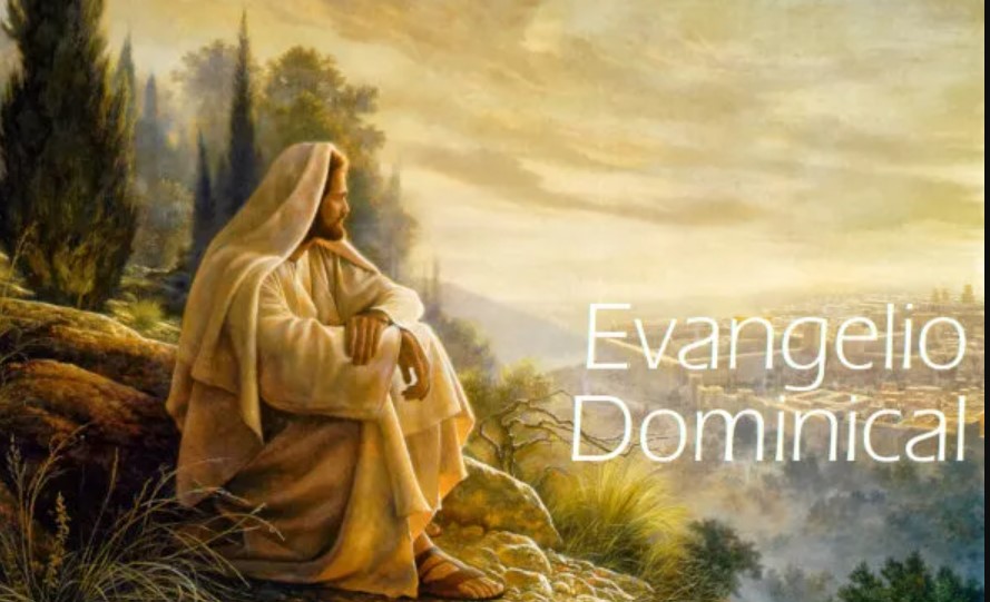 VÍDEO Y REFLEXIÓN DEL EVANGELIO DE CADA DOMINGO