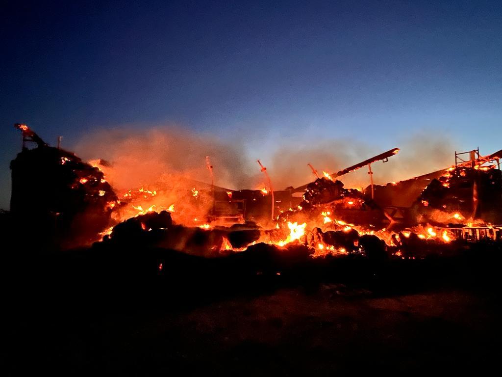 ARDE UN SUEÑO ESCOLAPIO