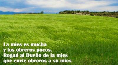 campo