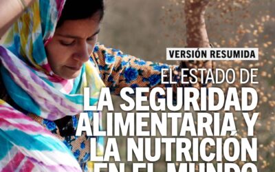 HAMBRE E HAITÍ… Y EN MUCHAS PARTES DEL MUNDO
