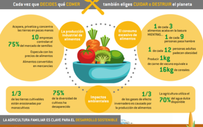 16 y 17 octubre, DÍA DE LA ALIMENTACIÓN Y DE LA ERRADICACIÓN DE LA POBREZA