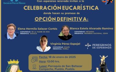 OPCIONES DEFINITIVAS EN LA FRATERNIDAD DE MÉXICO