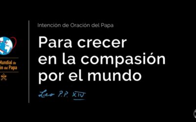 EL VÍDEO DEL PAPA LEÓN… PARA CRECER EN LA COMPASIÓN