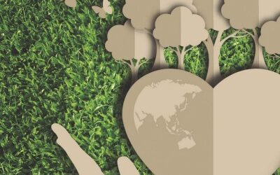 AVANCES Y ESTANCAMIENTOS CON LA ECOLOGÍA INTEGRAL