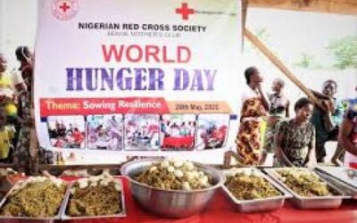 HAMBRE AL NORTE DE NIGERIA… Y EN OTROS LUGARES