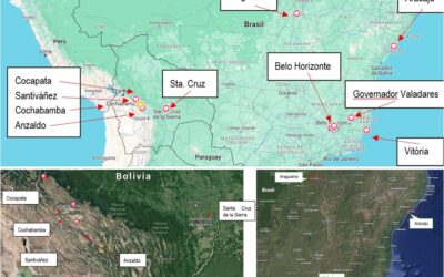 ESCOLAPIOS EN BRASIL Y BOLIVIA