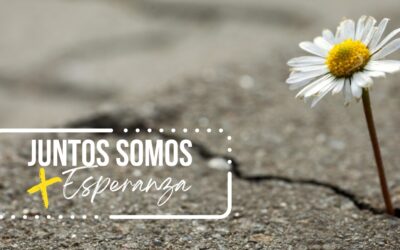 SIETE CAMINOS Y TRES PRIORIDADES PARA EDUCAR