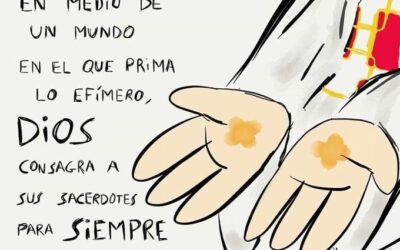 8 noviembre, ORDENACIÓN EN JAPÓN DE TRES ESCOLAPIOS