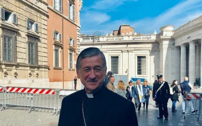EL CARDENAL ARZOBISPO DE CHICAGO LLAMA A LA CONCIENCIA ANTE LA GUERRA