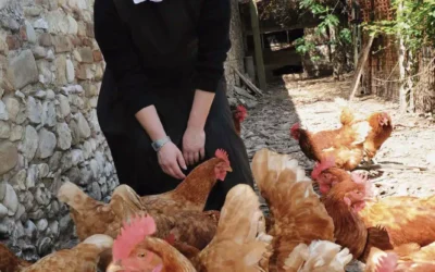 MONASTERIOS MUY ESPECIALES