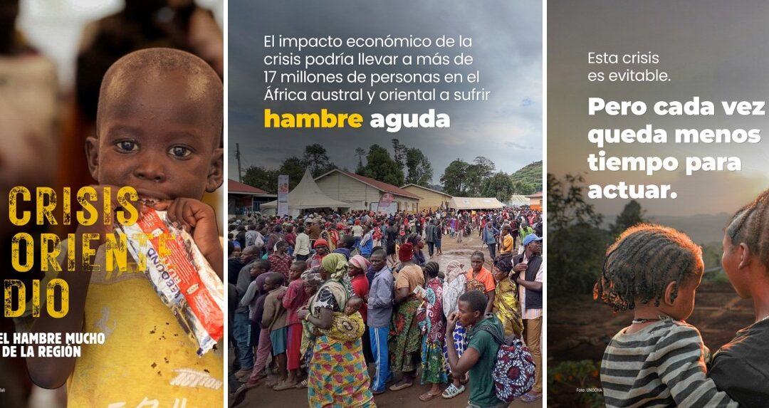 LOS CONFLICTOS DESTRUYEN VIDAS… Y AGRAVAN EL HAMBRE EN EL MUNDO