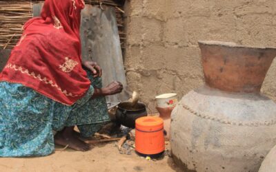 NIGERIA ANTE UNA CRISIS HUMANITARIA Y DE SEGURIDAD