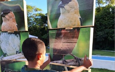 Julio 2026, BOLETÍN MENSUAL DE ITAKA – ESCOLAPIOS BRASIL